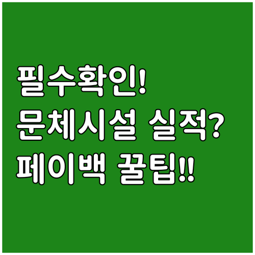 상생소비지원금 문화체육시설 페이백 실..