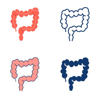 대장내시경 전 음식 초기증상