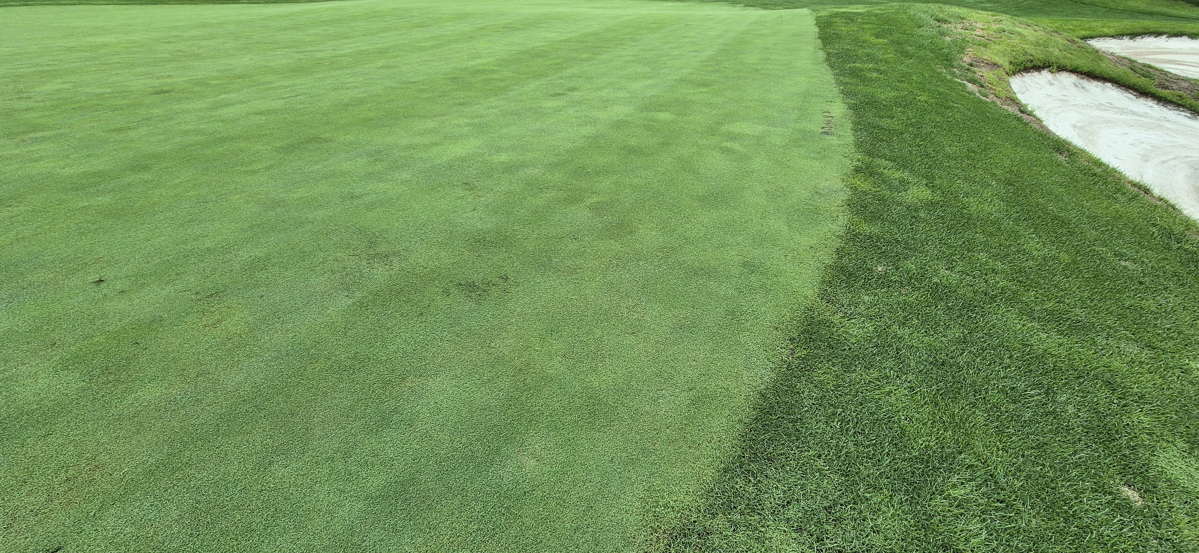 더플레이어스cc