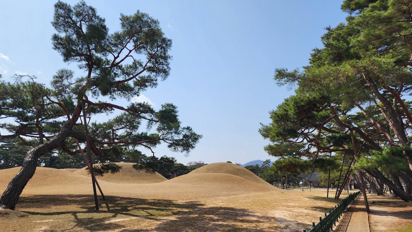 경주-오릉