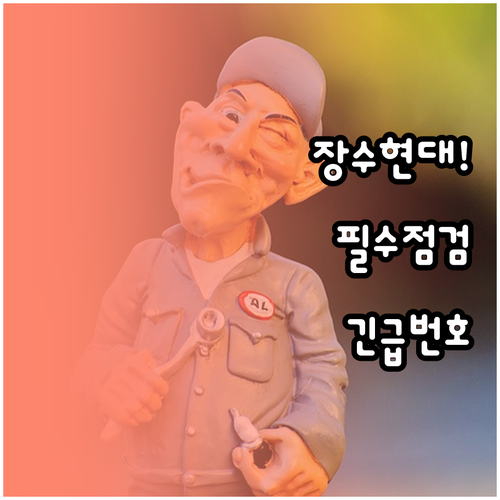 장수군 현대자동차 블루핸즈 정기 점검..