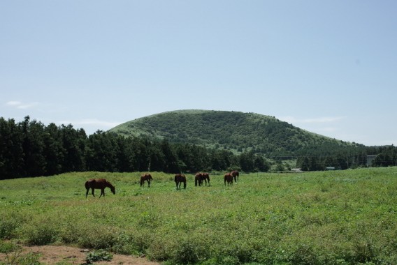 제주도여행코스추천, 제주도갈만한곳 - 한림 용암동굴지대(소천굴, 황금굴, 협재굴, 쌍용굴), 월령리 선인장 군락, 명월대, 비양도 호니토, 금능 해수욕장,한림공원,이시돌목장