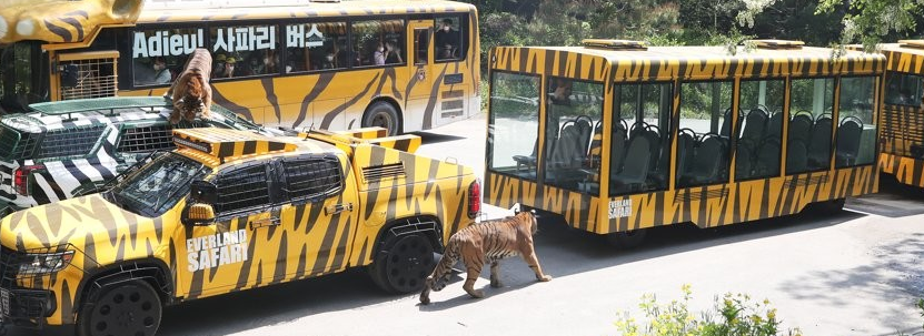 에버랜드 사파리2