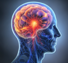 대마 종자유 효능