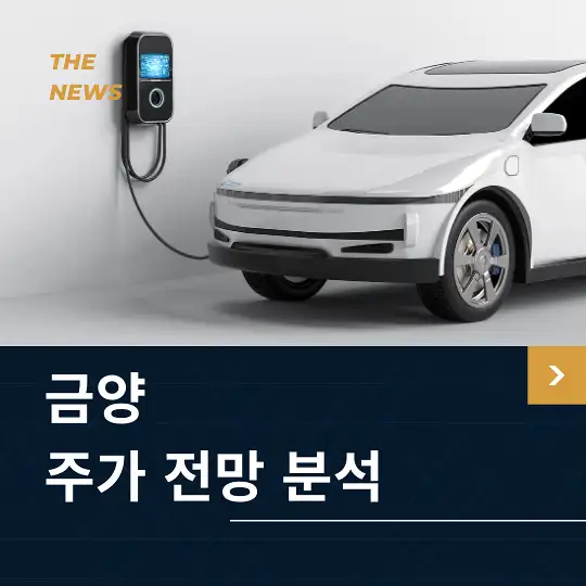 금양 주가 전망 및 분석