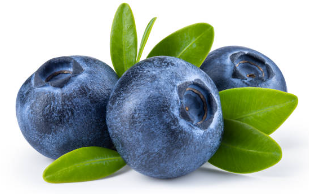 블루베리