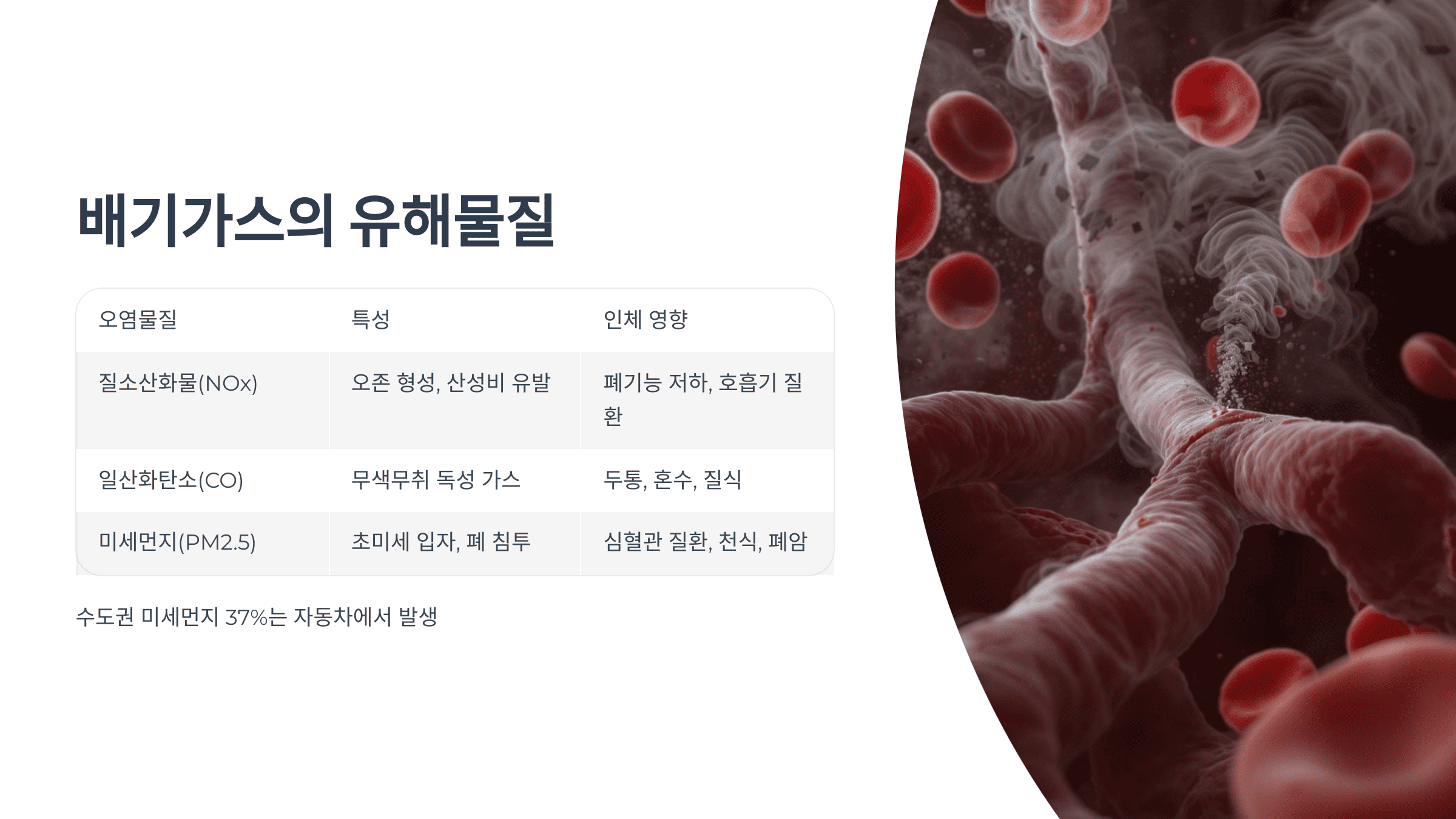 배기가스의-구성과-주요-유해물질