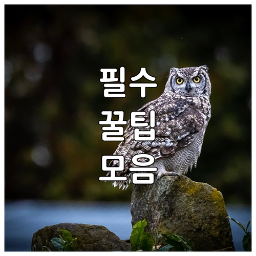 2025 남양주시민 삶 지키는 든든한..