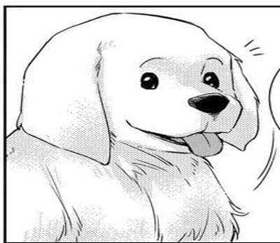 비의도적연애담-팥죽이