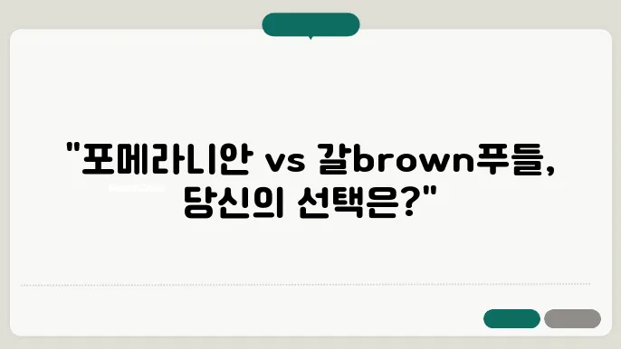 포메라니안과 갈색푸들 가격, 최적의 선택 방법!