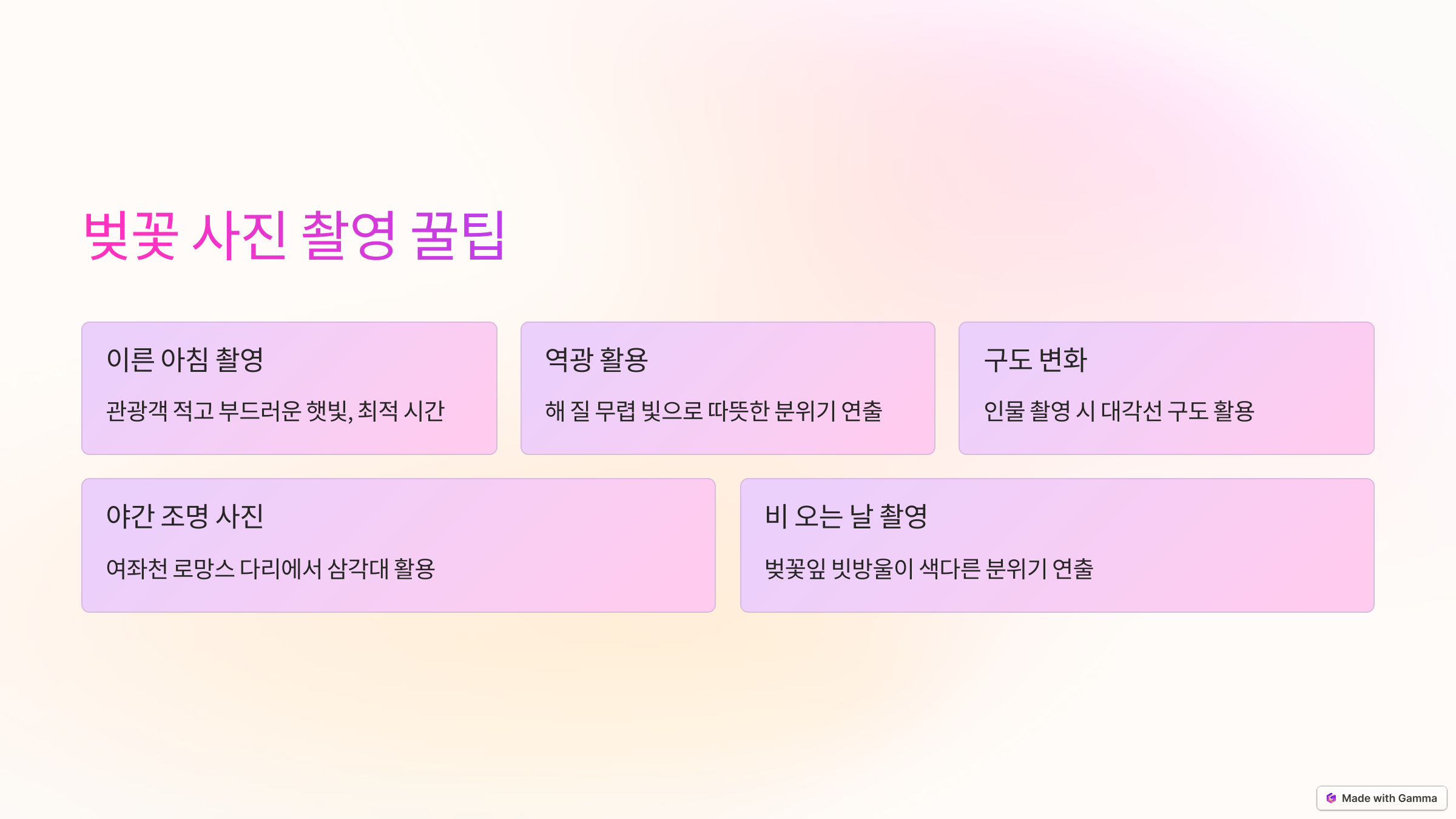 벚꽃 사진 촬영 꿀팁