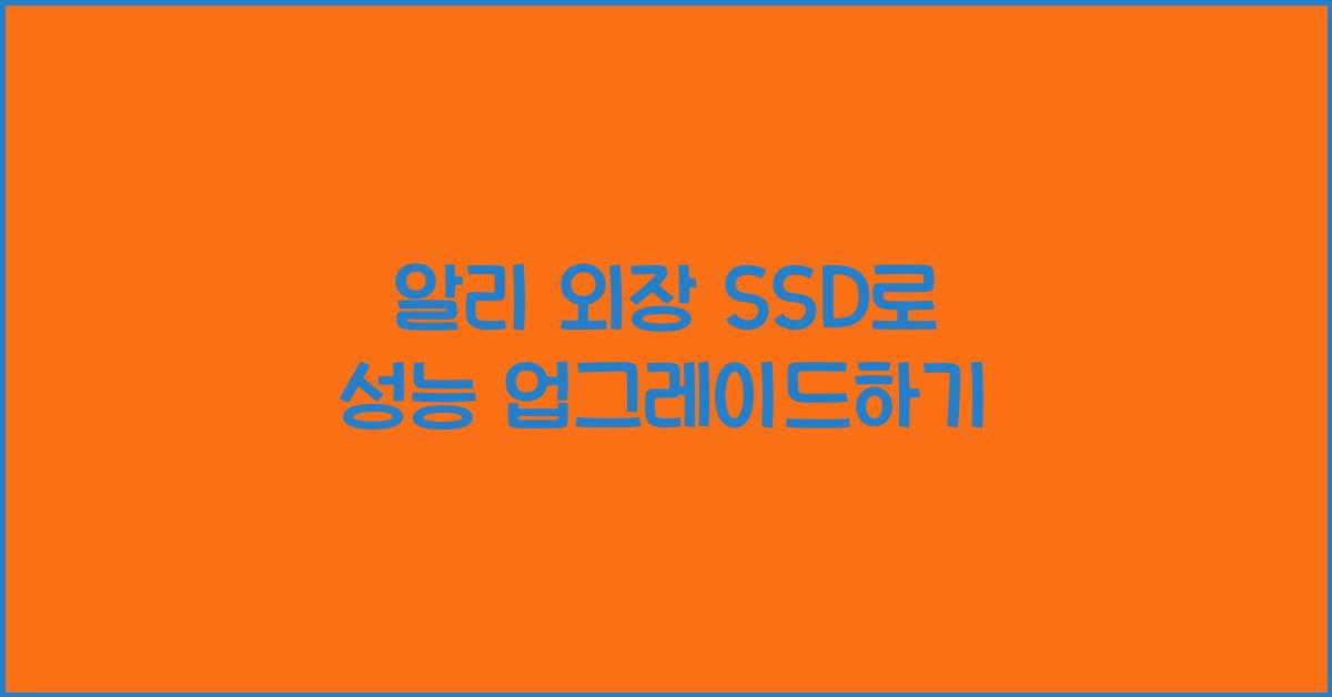 알리 외장 SSD  