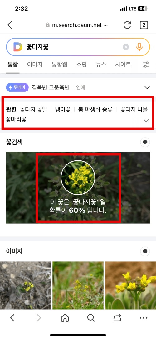 이름 모를 꽃을 찍고 난 검색 결과 화면