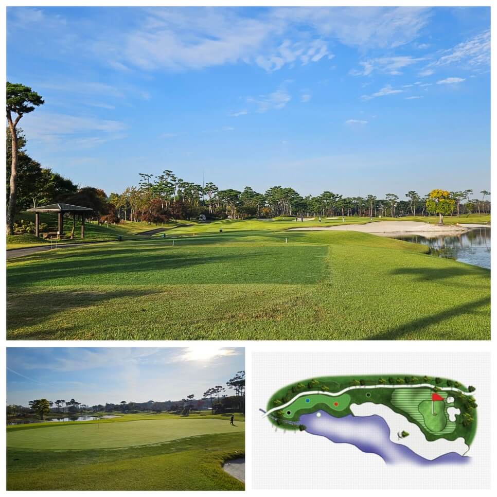 골프장 경험담 당진 파인스톤cc 대형 멋진 정원에서 환상의 골프 운동