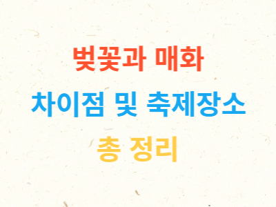 벚꽃과매화차이점