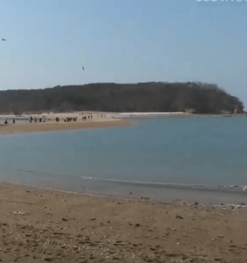 인천_무의도_가는길