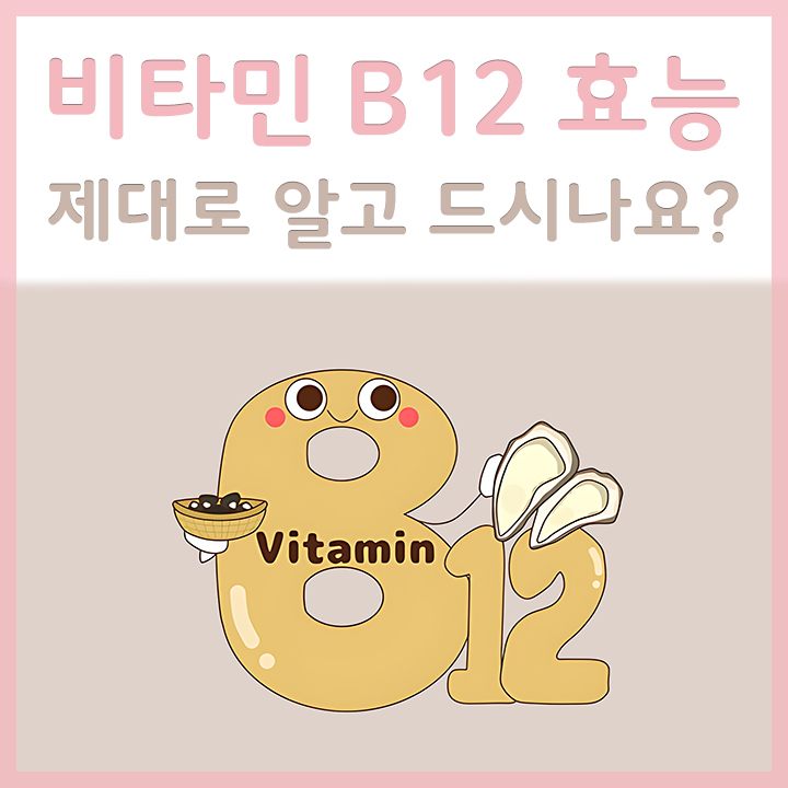 비타민B12의-모습