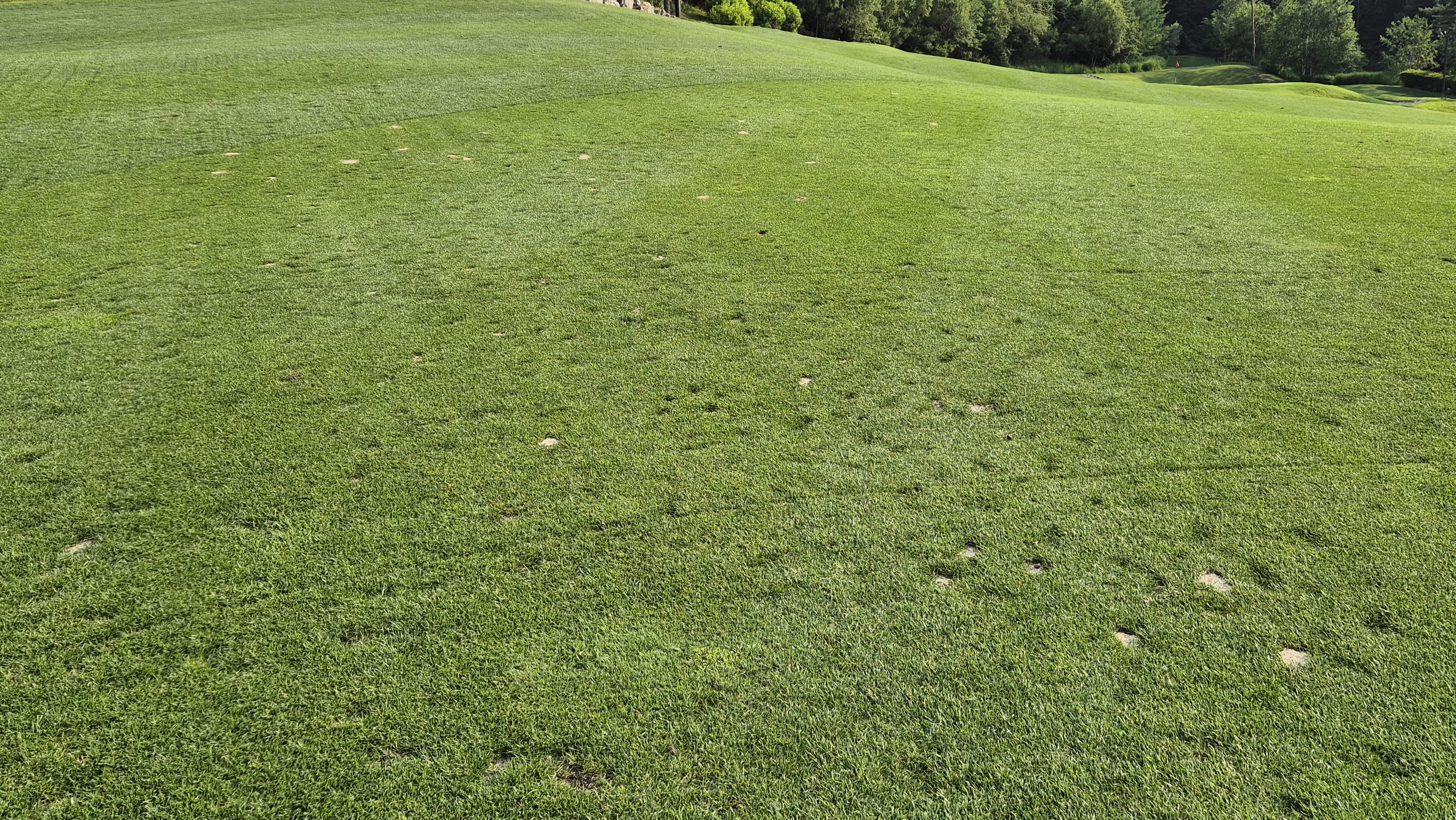 오너스gc 라운드 후기