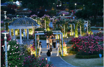 5월의 꽃, 곡성 장미꽃 축제