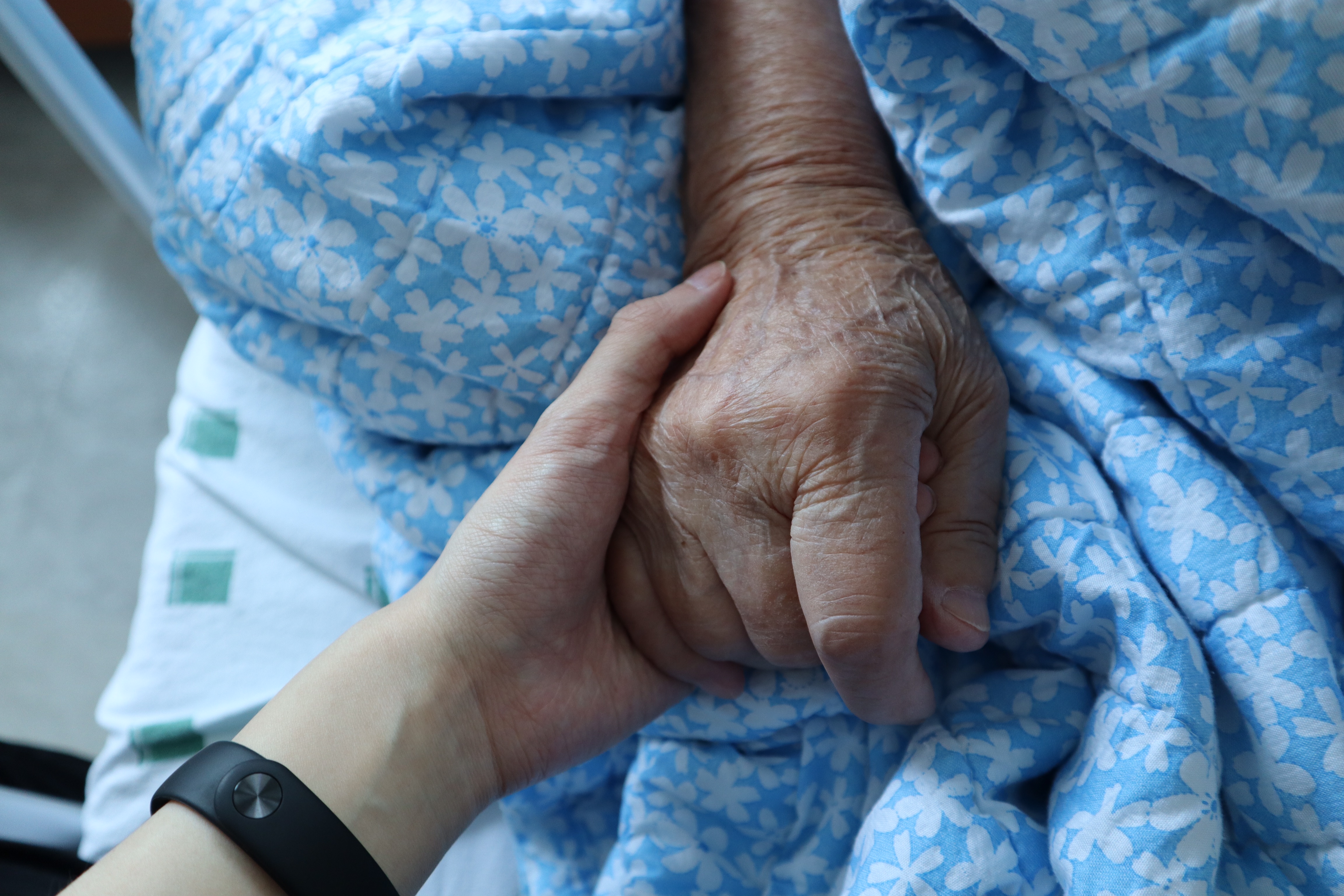 요양보호사 취업 사진