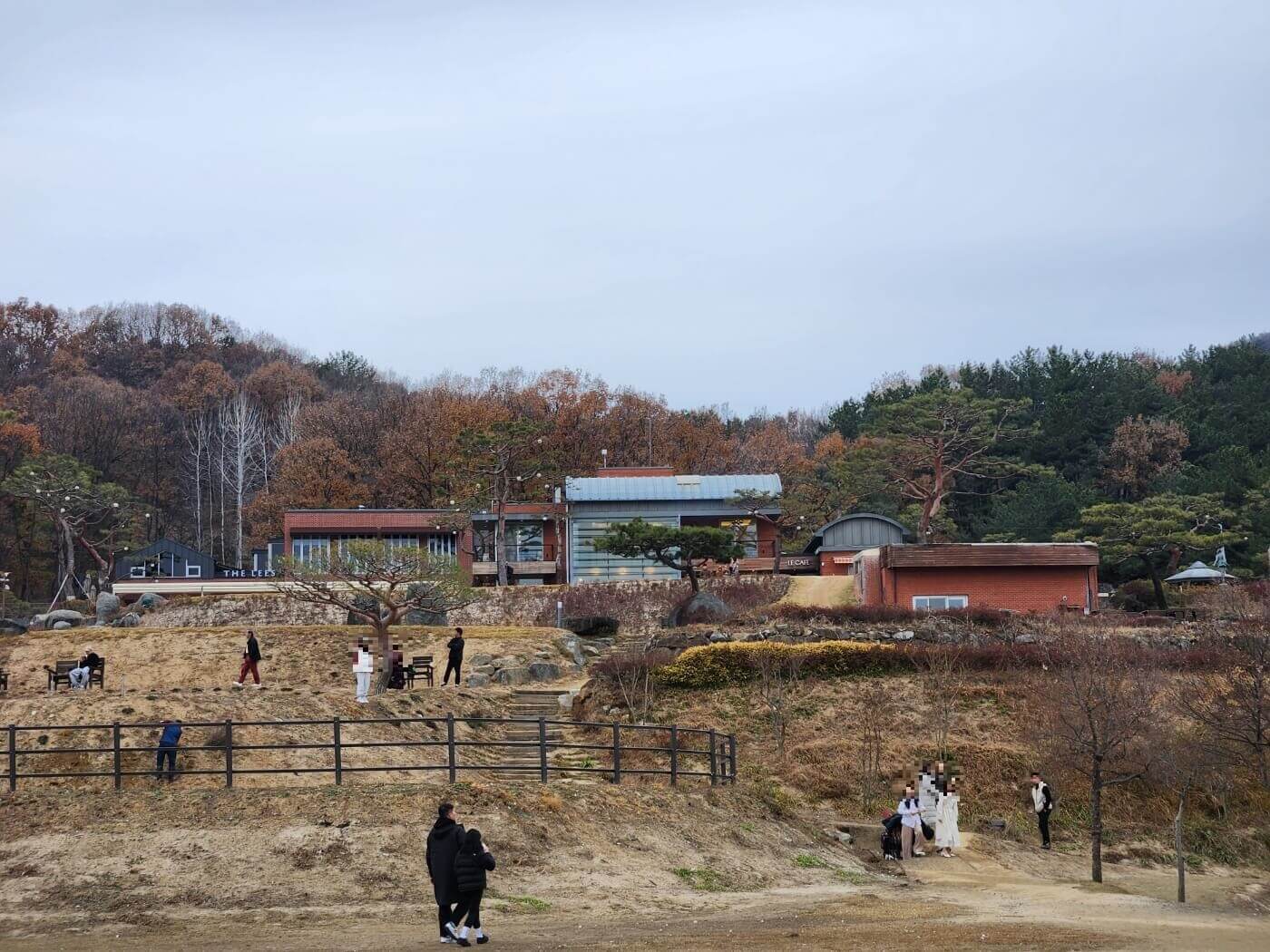 대청호 거위 아지트1