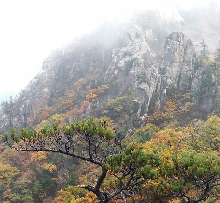 설악산-단풍-바위