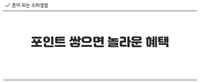 백화점 마일리지/포인트 모아서 혜택 누리기