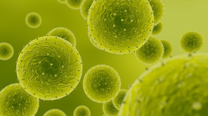 알레르기 유발 식품.