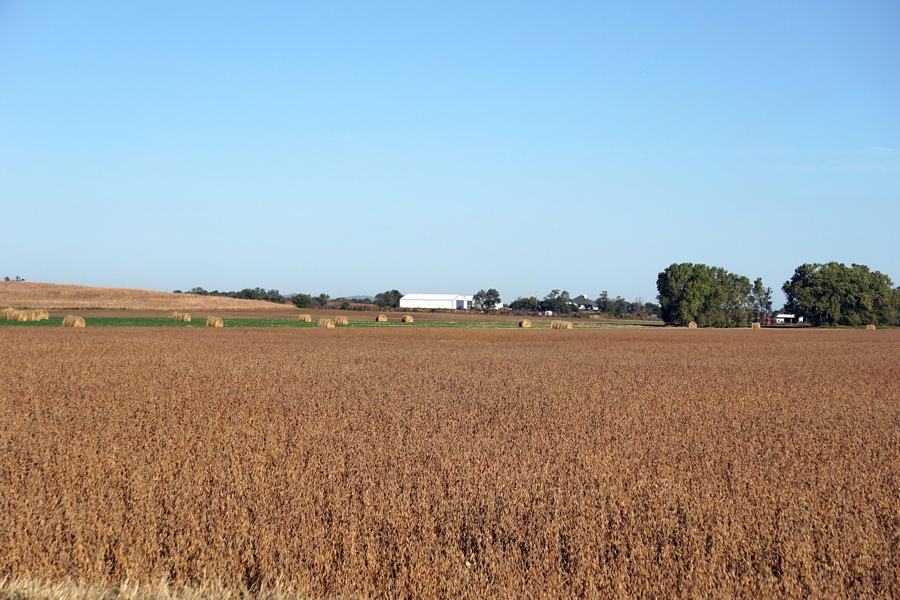 2025 손해평가사 자격증 전망을 설명하는 썸네일 이미지로, 수익, 취업, 활동 분야 등 주요 정보를 아이콘과 텍스트로 강조한 구성입니다. 파란 배경에 전문가적인 느낌을 주는 그래픽 스타일입니다.