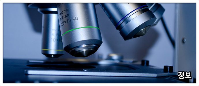 동맥경화도-검사