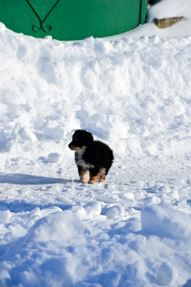 현재 눈 오는 지역 실시간 CCTV 확인하는 법