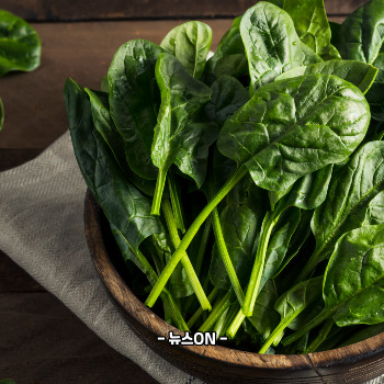 철분 많은 음식