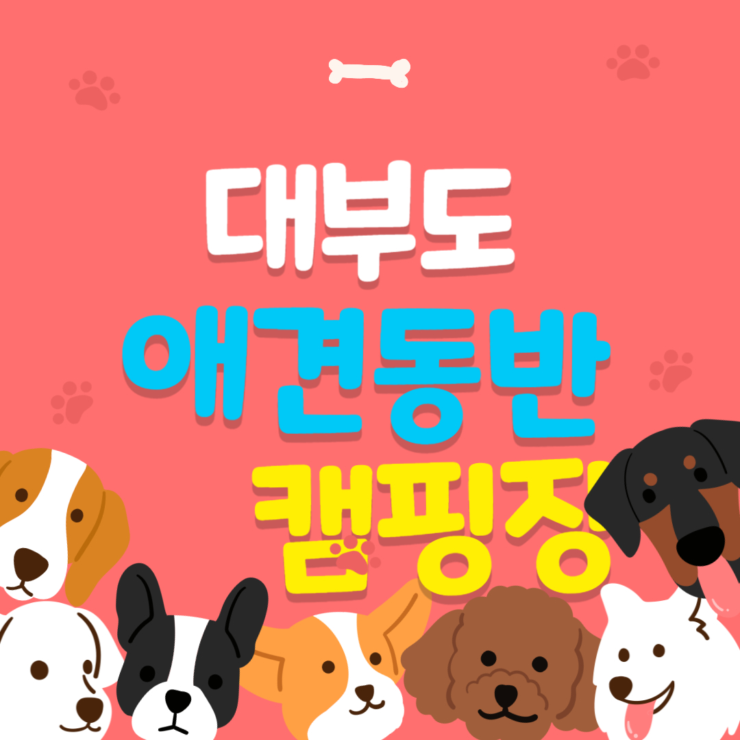 대부도 애견동반