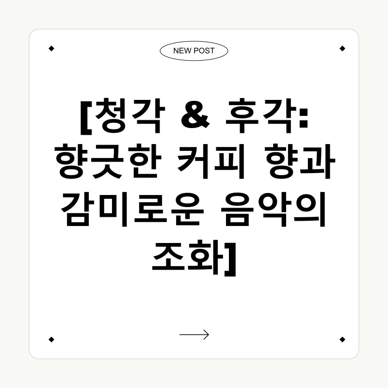 감각적 경험_2