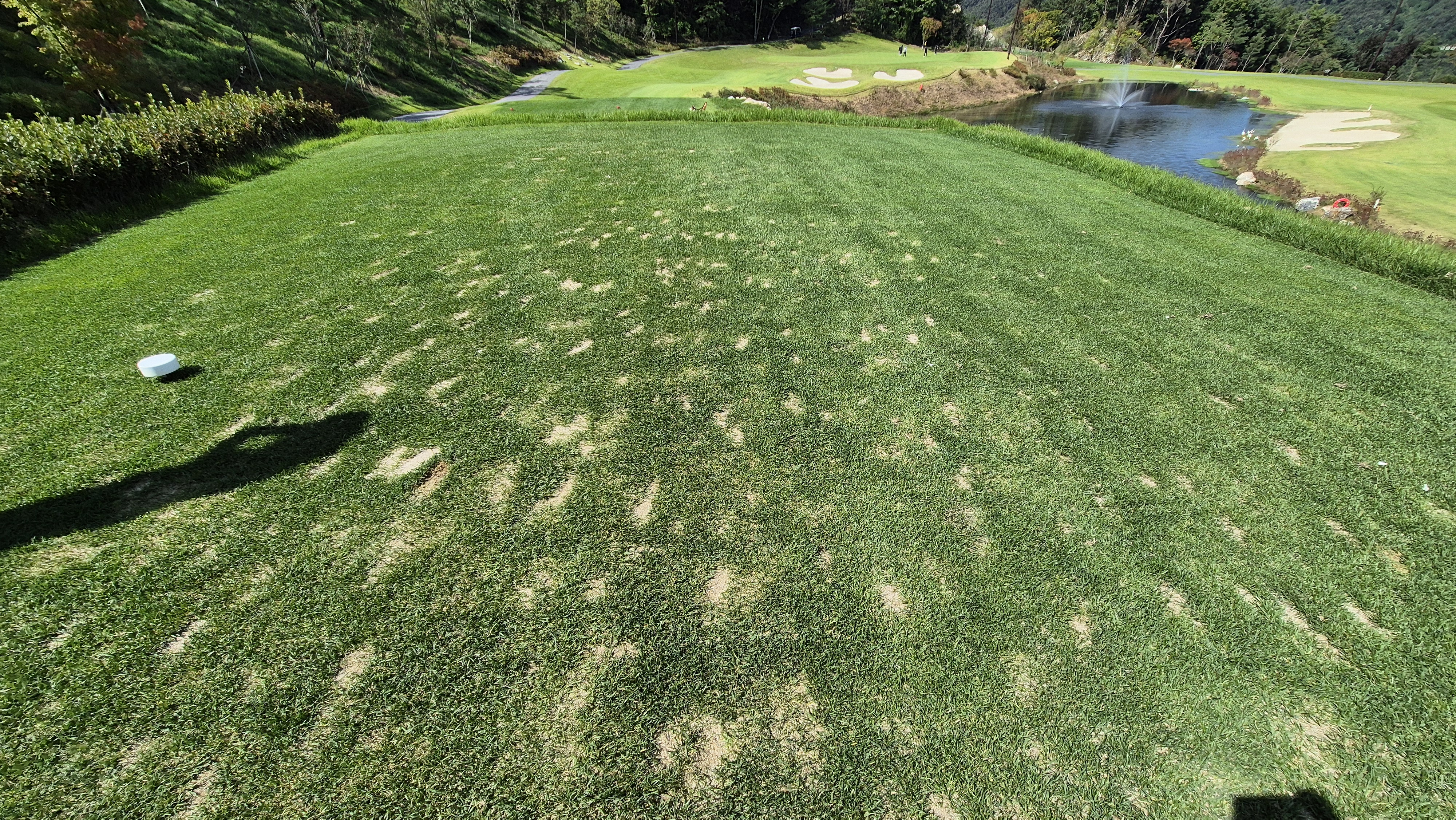 오로라cc 티잉구역 상태