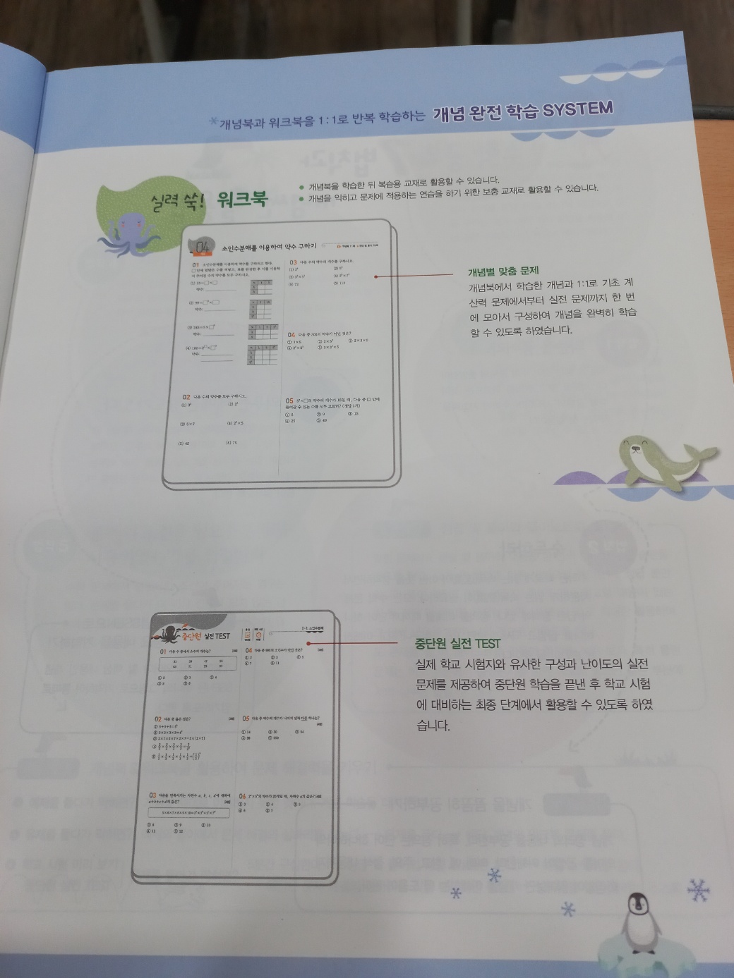 개념쎈 중학수학 1-1 4