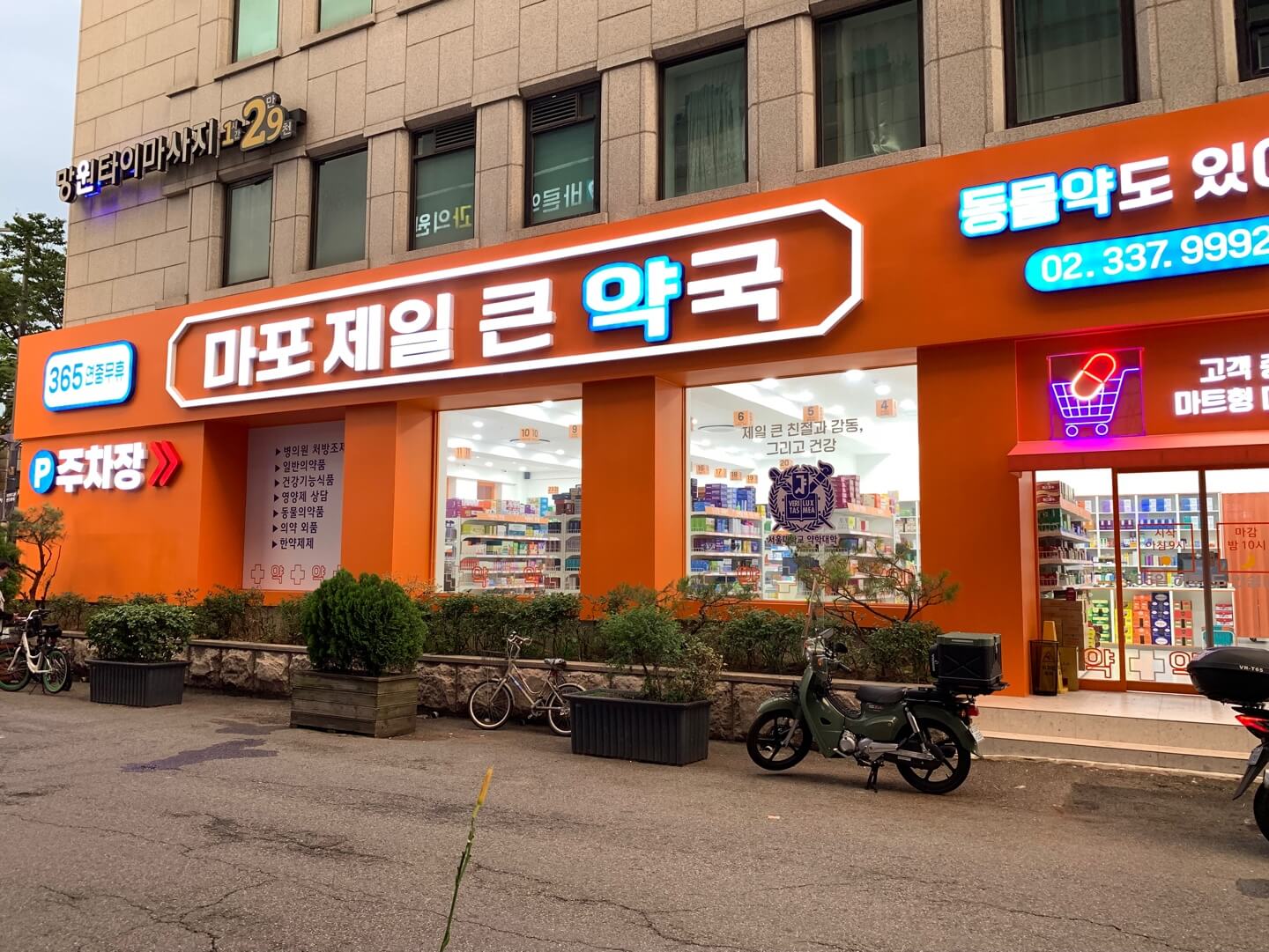 마포제일큰약국