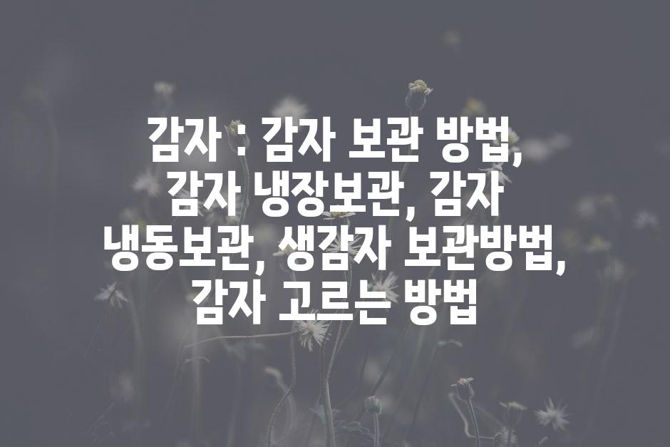 샘플 (46)