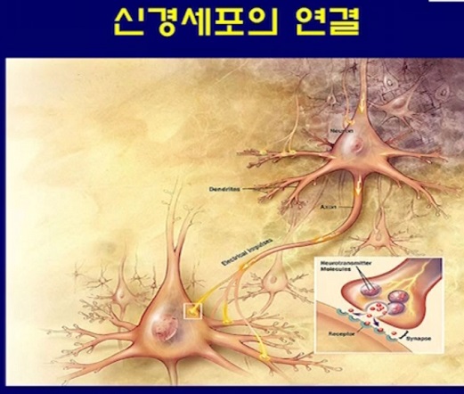 뇌전증-이상건-교수