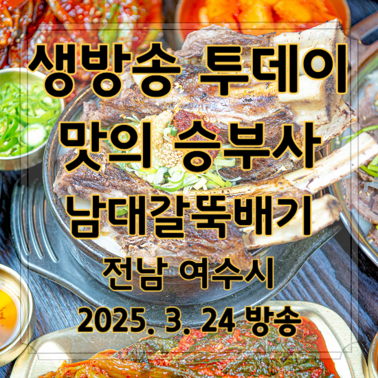 생방송 투데이 맛의 승부사