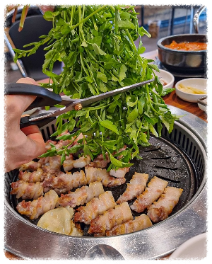 노란도야지