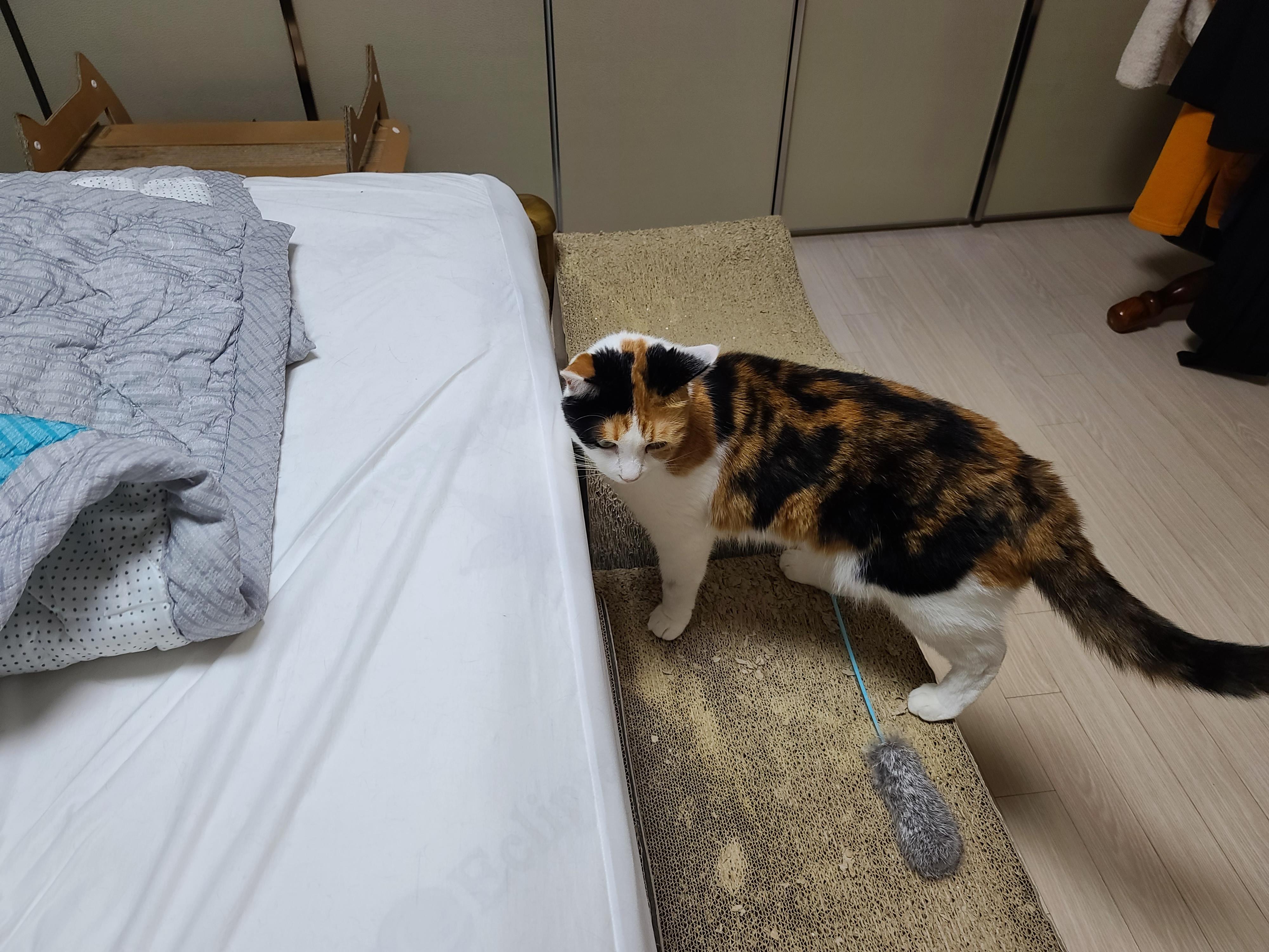 인기짱인 이불속 체험! 진상고객들과 늘어나는 대기자들..