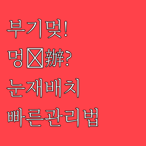 수술 후 부기 멍 줄이는 눈밑지방 재..