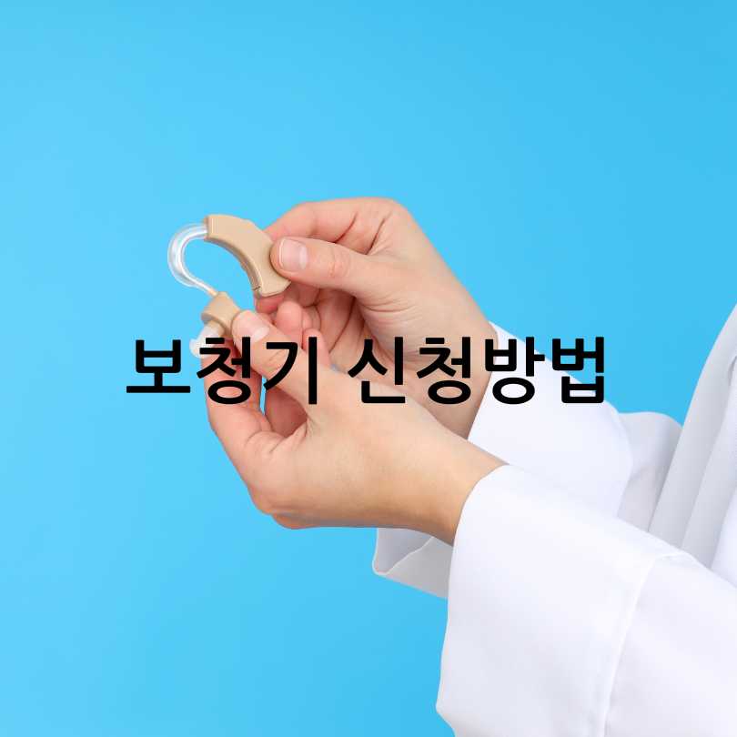 보청기 국가 보조금