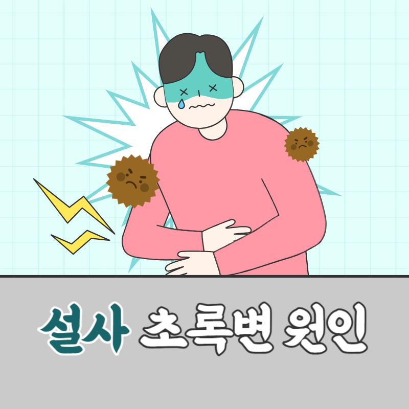 설사 초록변 원인