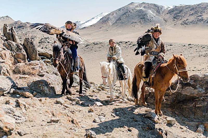 산과-들이-보이는-초원에서-말을-타고-매를-날려보내는-모습