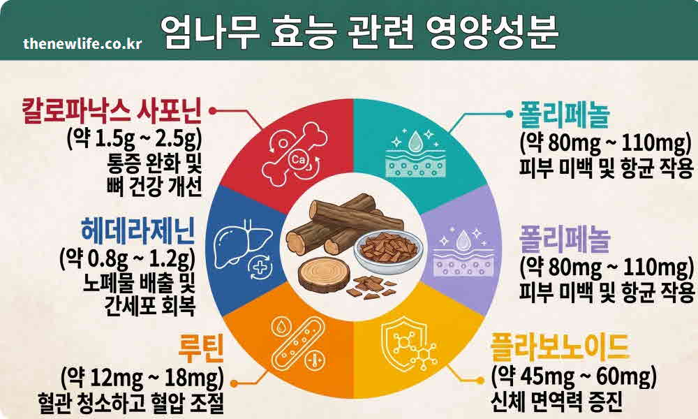 엄나무 효능 영양성분