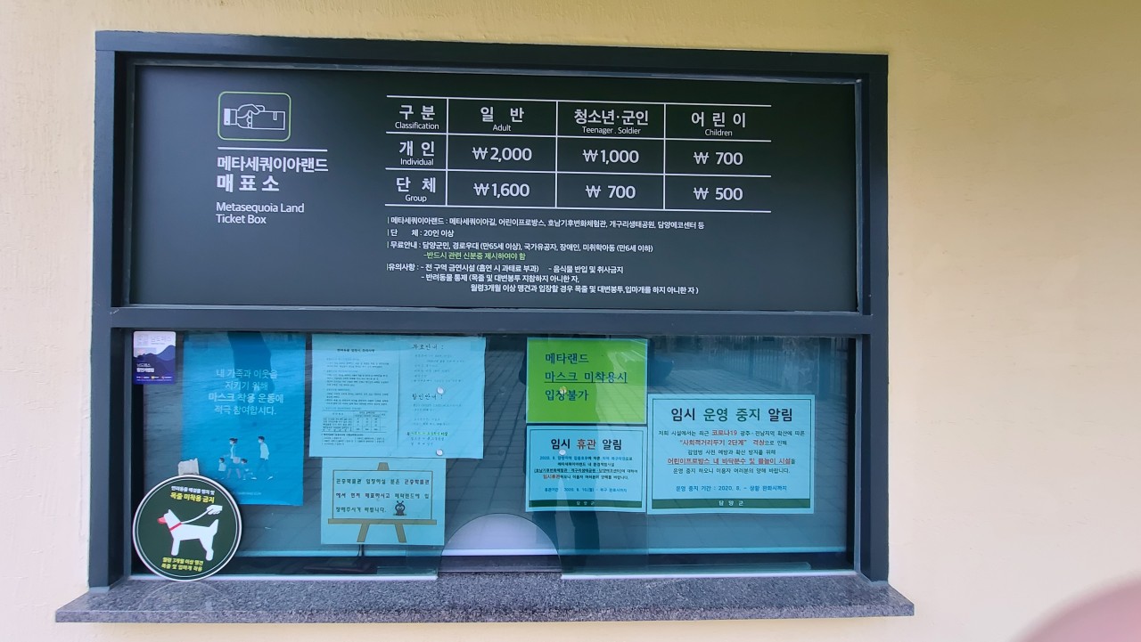 담양 메타세콰이어길