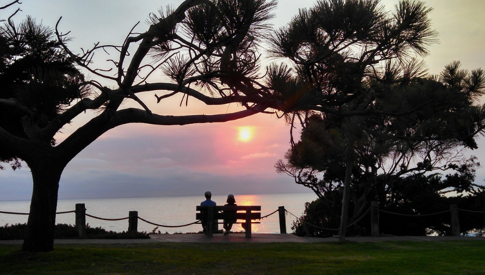 노부부 여행사진