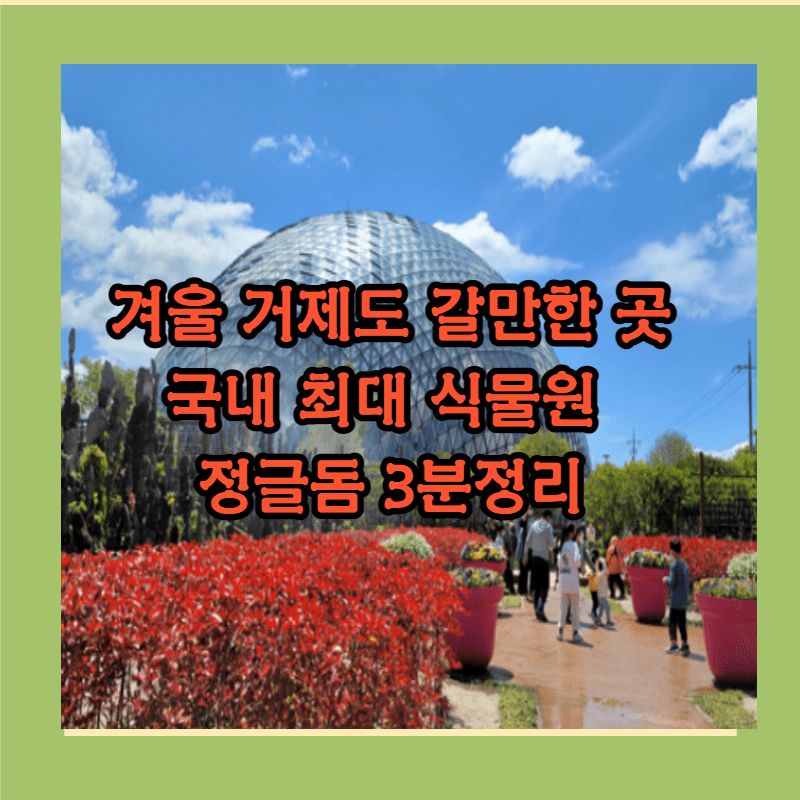겨울 거제도 갈만한곳